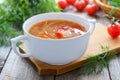 Traditional Russian cuisine - vegetable soup with cabbage Royalty Free Stock Photo