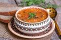 Traditional Russian cuisine - vegetable soup with cabbage Royalty Free Stock Photo