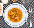 Traditional Russian dish is cabbage soup Royalty Free Stock Photo