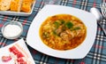 Traditional Russian dish is cabbage soup Royalty Free Stock Photo