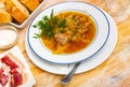 Traditional Russian dish is cabbage soup Royalty Free Stock Photo