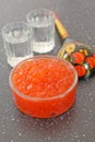 Traditional russian food. Red salmon caviar and shot glass of vodka. Royalty Free Stock Photo