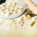 Traditional russian pelmeni, ravioli, dumplings with meat on white concrete background. Parsley, quail eggs, pepper Royalty Free Stock Photo
