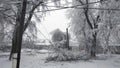 Fallen tree branches on a power line in a snowy winter. Dangling wires from torn branches. Royalty Free Stock Photo