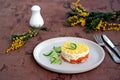 Traditional Russian salad Mimosa with boiled pink salmon, carrots, onions and eggs Royalty Free Stock Photo