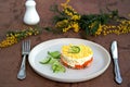 Traditional Russian salad Mimosa with boiled pink salmon, carrots, onions and eggs Royalty Free Stock Photo