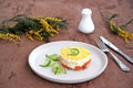Traditional Russian salad Mimosa with boiled pink salmon, carrots, onions and eggs Royalty Free Stock Photo