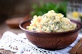 Traditional Russian salad Olivier on an old wooden background. Russian kitchen. Rustic style. Royalty Free Stock Photo