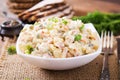 Traditional Russian salad Olivier Royalty Free Stock Photo