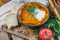 Traditional Russian sour cabbage soup shchi with sour cream and herbs on a wooden table with bread, pepper and parsley Royalty Free Stock Photo