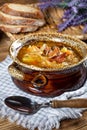 Traditional russian sour cabbage soup Royalty Free Stock Photo