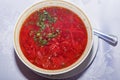 Traditional Russian and Ukrainian borsh soup