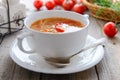 Traditional Russian Vegetable soup with cabbage and tomatoes Royalty Free Stock Photo