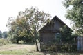 Traditional russian village house. Royalty Free Stock Photo