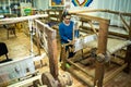 Traditional rustic loom