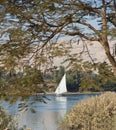 Traditional sailing felluca on the Nile Royalty Free Stock Photo