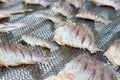 Traditional salted fish drying on grille