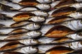 Traditional salted fish drying for sale in Samutsakorn local market