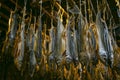 Traditional salted salmons hanging in the city of Murakami in Niigata Prefecture.