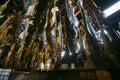 Traditional salted salmons hanging in the city of Murakami in Niigata Prefecture.