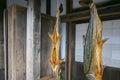 Traditional salted salmons hanging in the city of Murakami in Niigata Prefecture.