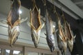 Traditional salted salmons hanging in the city of Murakami in Niigata Prefecture.