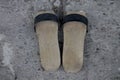 Traditional sandle made of wood called & x22;Tanglek& x22;