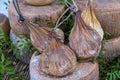 Traditional Sardinian cheese called `Su Callu` matured inside the stomach of the little calf and fresh milk .Behind it is the trad