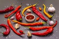 Traditional sauce Sriracha with ingredients Royalty Free Stock Photo
