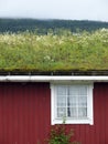 Traditional scandinavian grass roof Royalty Free Stock Photo