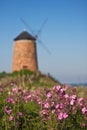 Traditional Scottish coastal windmill with flowers Royalty Free Stock Photo