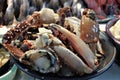 Traditional Seafood Market display in Tegucigalpa a plate full of violin crabs Royalty Free Stock Photo