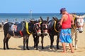 Beach Donkeys at Mablethorpe