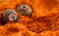 Pepper allspice on the background of ground red pepper powder. Spicy Seasoning Royalty Free Stock Photo