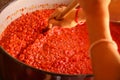 Traditional Serbian food made from paprika Royalty Free Stock Photo