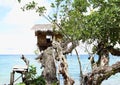 Traditional shack on tree Royalty Free Stock Photo