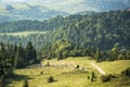 .Traditional sheep pasture in Pieniny mountains , Poland