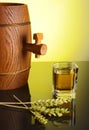 Traditional single malt Royalty Free Stock Photo