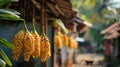 Traditional Sinhala and Tamil New Year decorations, such as handwoven palm leaf decorations (Kokis) hanging