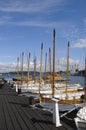 Traditional sloops in Karlskrona marina