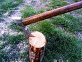 Traditional Slovakian Axe stabbed in the log