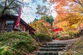 Traditional snack shop under the autumn leaves, Kyoto, Japan