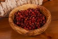 Traditional soaked cowberry in the bowl