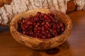 Traditional soaked cowberry in the bowl