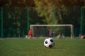 Traditional soccer ball on green grass playground. Royalty Free Stock Photo