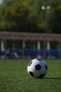 Traditional soccer ball on green grass playground. Royalty Free Stock Photo