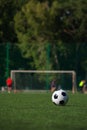 Traditional soccer ball on green grass playground. Royalty Free Stock Photo