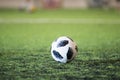 Traditional soccer ball on soccer field grass