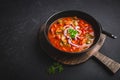 Traditional Solyanka soup - thick and sour soup of Russian origin
