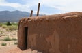 Traditional Southwestern Adobe building with rustic Ladder